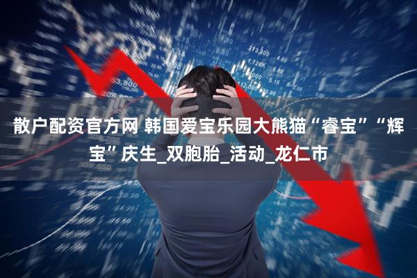 散户配资官方网 韩国爱宝乐园大熊猫“睿宝”“辉宝”庆生_双胞胎_活动_龙仁市